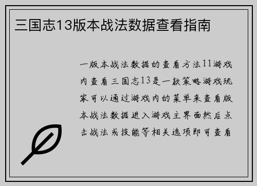 三国志13版本战法数据查看指南